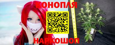 apvp Брянск