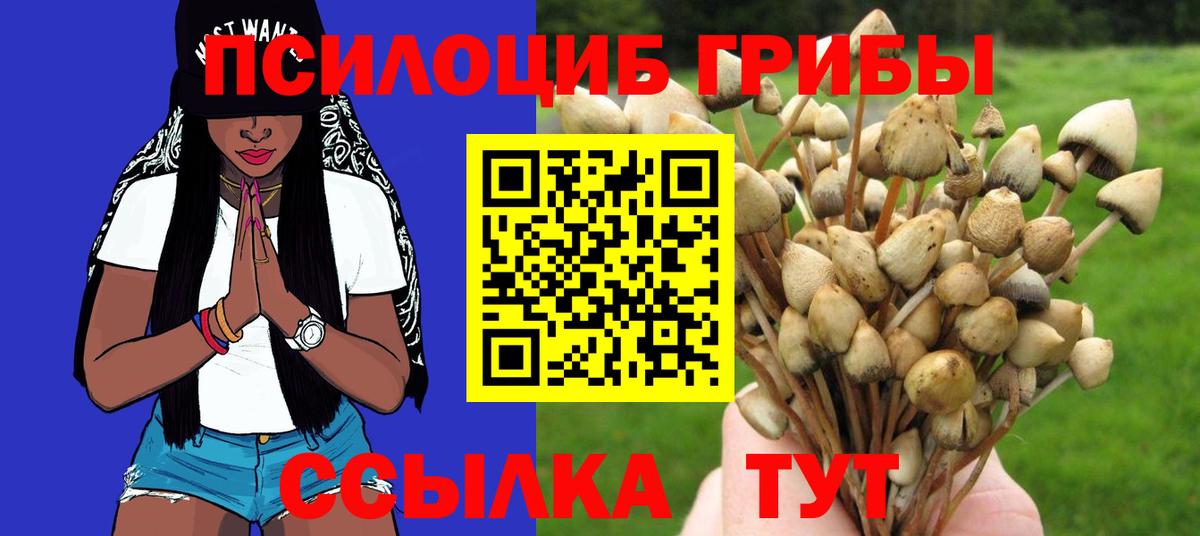 Галлюциногенные грибы Psilocybine cubensis  Галлюциногенные грибы прущие грибы  Вход с VPN  Среднеуральск 